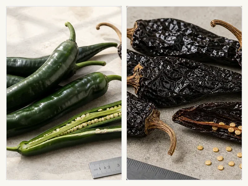 Chilaca Pepper and Pasilla Pepper comparison