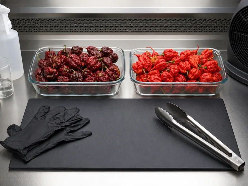 Dragon's Breath and Carolina Reaper comparison