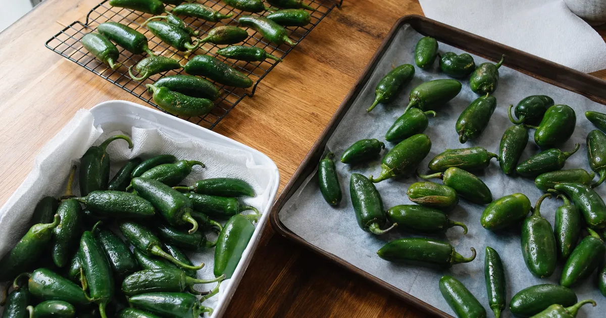 Fresh jalapenos sorted into fridge, freezer, and drying storage setups