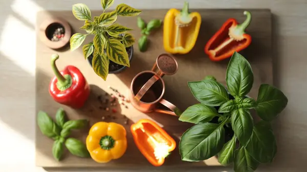 Pepper Leaves Curling