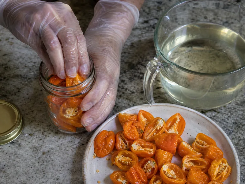 Pickled Habaneros With Bright Brine and Real Heat - visual guide and reference
