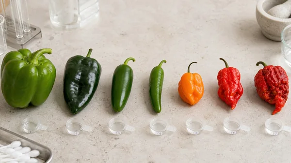 Peppers arranged from mild bell pepper to wrinkled superhot with neutral testing cups
