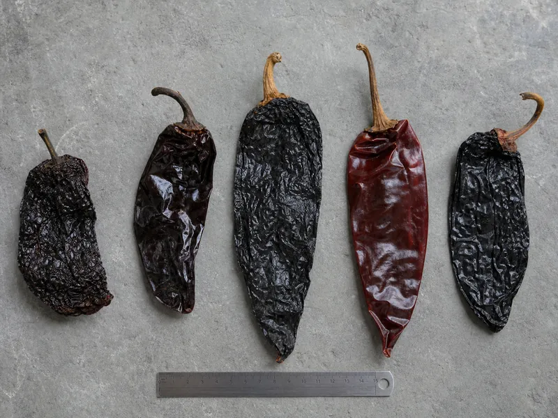 Morita, chipotle meco, ancho, guajillo, and smoked paprika compared side by side